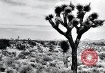 Image of First Atomic bomb detonation Alamogordo New Mexico USA, 1945, second 41 stock footage video 65675068219