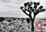Image of First Atomic bomb detonation Alamogordo New Mexico USA, 1945, second 42 stock footage video 65675068219