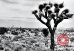 Image of First Atomic bomb detonation Alamogordo New Mexico USA, 1945, second 43 stock footage video 65675068219