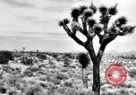 Image of First Atomic bomb detonation Alamogordo New Mexico USA, 1945, second 44 stock footage video 65675068219
