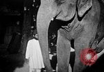Immagine di Popolo Indiano India, 1938, secondo 29 filmato di repertorio 65675068230