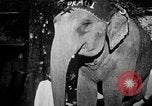 Immagine di Popolo Indiano India, 1938, secondo 31 filmato di repertorio 65675068230