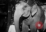 Immagine di Popolo Indiano India, 1938, secondo 33 filmato di repertorio 65675068230