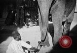 Immagine di Popolo Indiano India, 1938, secondo 57 filmato di repertorio 65675068230