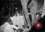 Immagine di Popolo Indiano India, 1938, secondo 58 filmato di repertorio 65675068230