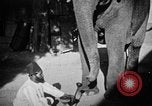 Immagine di Popolo Indiano India, 1938, secondo 59 filmato di repertorio 65675068230