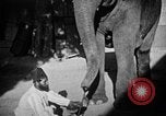 Immagine di Popolo Indiano India, 1938, secondo 61 filmato di repertorio 65675068230