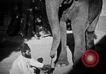 Immagine di Popolo Indiano India, 1938, secondo 62 filmato di repertorio 65675068230