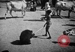 Immagine di Popolo Indiano India, 1938, secondo 6 filmato di repertorio 65675068231