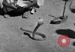 Immagine di Popolo Indiano India, 1938, secondo 13 filmato di repertorio 65675068232