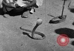 Immagine di Popolo Indiano India, 1938, secondo 14 filmato di repertorio 65675068232