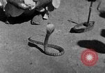 Immagine di Popolo Indiano India, 1938, secondo 21 filmato di repertorio 65675068232