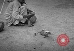 Immagine di Popolo Indiano India, 1938, secondo 7 filmato di repertorio 65675068233