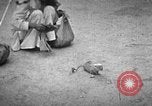 Immagine di Popolo Indiano India, 1938, secondo 8 filmato di repertorio 65675068233