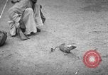 Immagine di Popolo Indiano India, 1938, secondo 9 filmato di repertorio 65675068233
