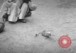 Immagine di Popolo Indiano India, 1938, secondo 10 filmato di repertorio 65675068233