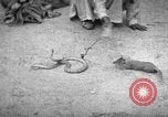 Immagine di Popolo Indiano India, 1938, secondo 50 filmato di repertorio 65675068233
