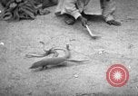 Immagine di Popolo Indiano India, 1938, secondo 51 filmato di repertorio 65675068233