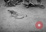 Immagine di Popolo Indiano India, 1938, secondo 55 filmato di repertorio 65675068233