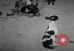 Image of Indian performer India, 1938, second 3 stock footage video 65675068234