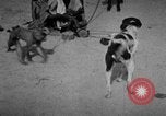 Image of Indian performer India, 1938, second 4 stock footage video 65675068234