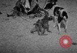 Image of Indian performer India, 1938, second 5 stock footage video 65675068234