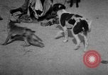 Image of Indian performer India, 1938, second 6 stock footage video 65675068234