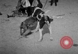 Image of Indian performer India, 1938, second 7 stock footage video 65675068234