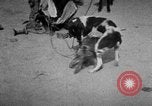 Image of Indian performer India, 1938, second 8 stock footage video 65675068234