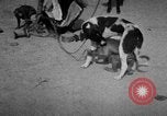 Image of Indian performer India, 1938, second 9 stock footage video 65675068234