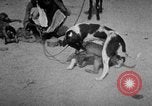Image of Indian performer India, 1938, second 10 stock footage video 65675068234