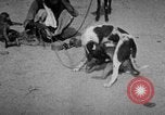 Image of Indian performer India, 1938, second 11 stock footage video 65675068234