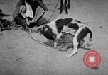 Image of Indian performer India, 1938, second 12 stock footage video 65675068234