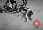 Image of Indian performer India, 1938, second 14 stock footage video 65675068234
