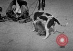 Image of Indian performer India, 1938, second 15 stock footage video 65675068234