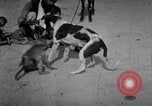 Image of Indian performer India, 1938, second 16 stock footage video 65675068234