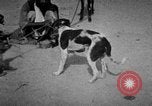 Image of Indian performer India, 1938, second 17 stock footage video 65675068234
