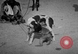Image of Indian performer India, 1938, second 18 stock footage video 65675068234