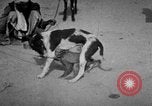 Image of Indian performer India, 1938, second 20 stock footage video 65675068234