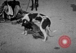 Image of Indian performer India, 1938, second 21 stock footage video 65675068234