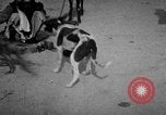 Image of Indian performer India, 1938, second 22 stock footage video 65675068234