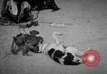 Image of Indian performer India, 1938, second 23 stock footage video 65675068234