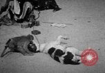 Image of Indian performer India, 1938, second 25 stock footage video 65675068234
