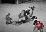 Image of Indian performer India, 1938, second 31 stock footage video 65675068234