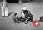 Image of Indian performer India, 1938, second 48 stock footage video 65675068234