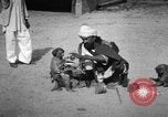 Image of Indian performer India, 1938, second 49 stock footage video 65675068234