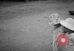 Image of Indian performer India, 1938, second 28 stock footage video 65675068235