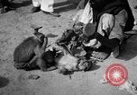 Image of Indian performer India, 1938, second 46 stock footage video 65675068235