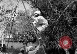 Image of tightrope walking India, 1938, second 10 stock footage video 65675068236