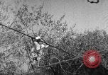 Image of tightrope walking India, 1938, second 16 stock footage video 65675068236